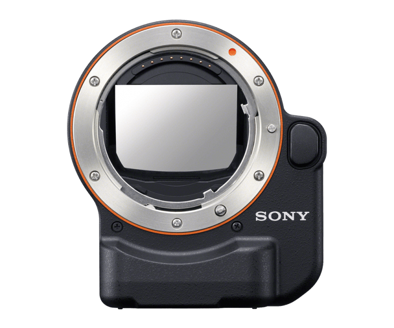 pSNYNA-LAEA4_main_v786